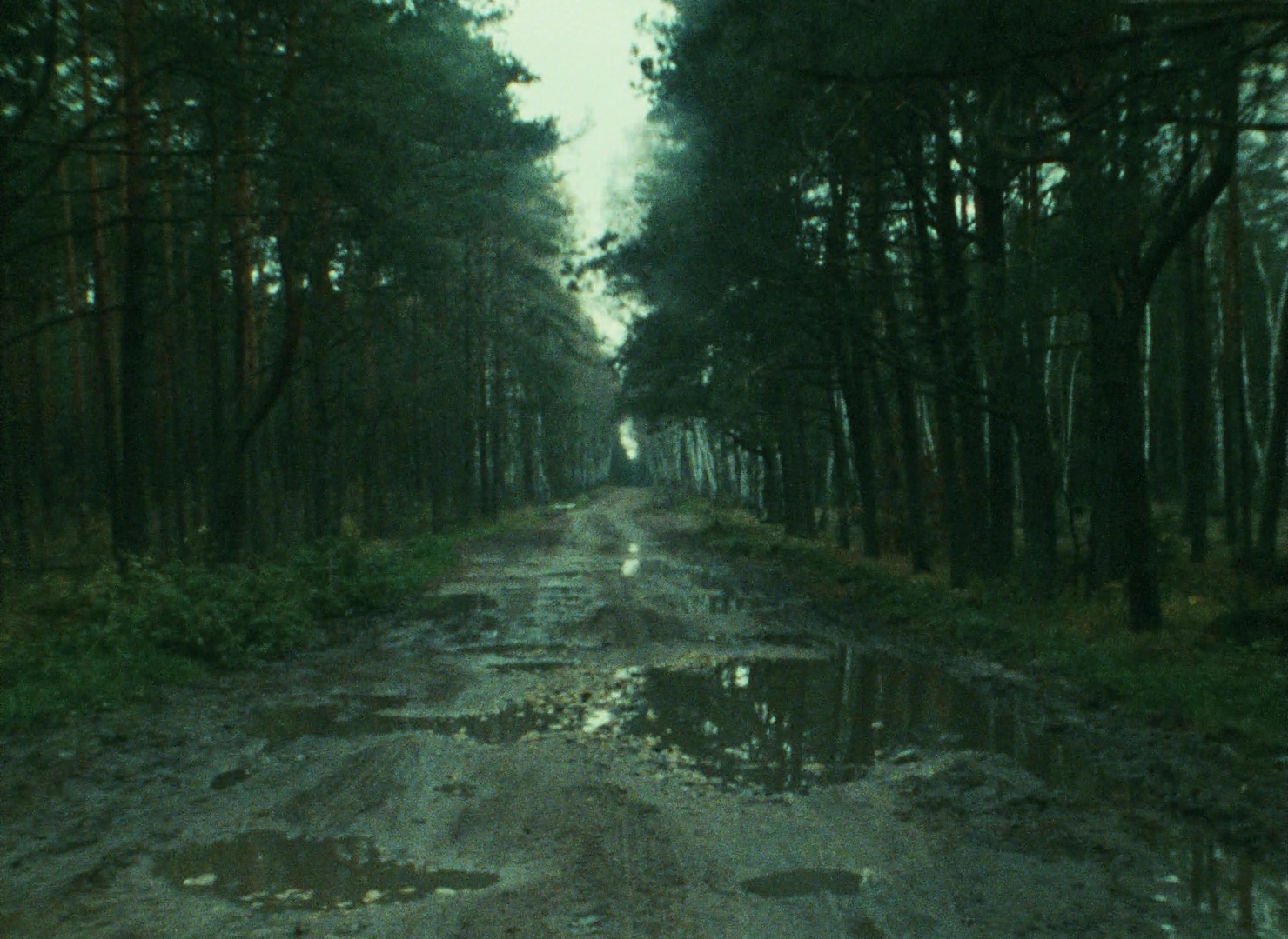 Documentary Filmmaking in Shoah (1985)