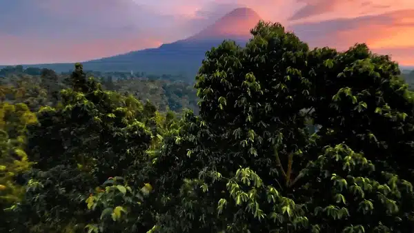 Aerial Shot in Indonesia FPV: Bali & Java
