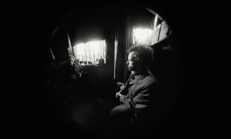 Fisheye Lens in Poor Things