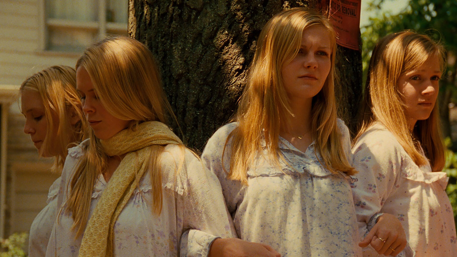 Diffusion in The Virgin Suicides (Diffusion)