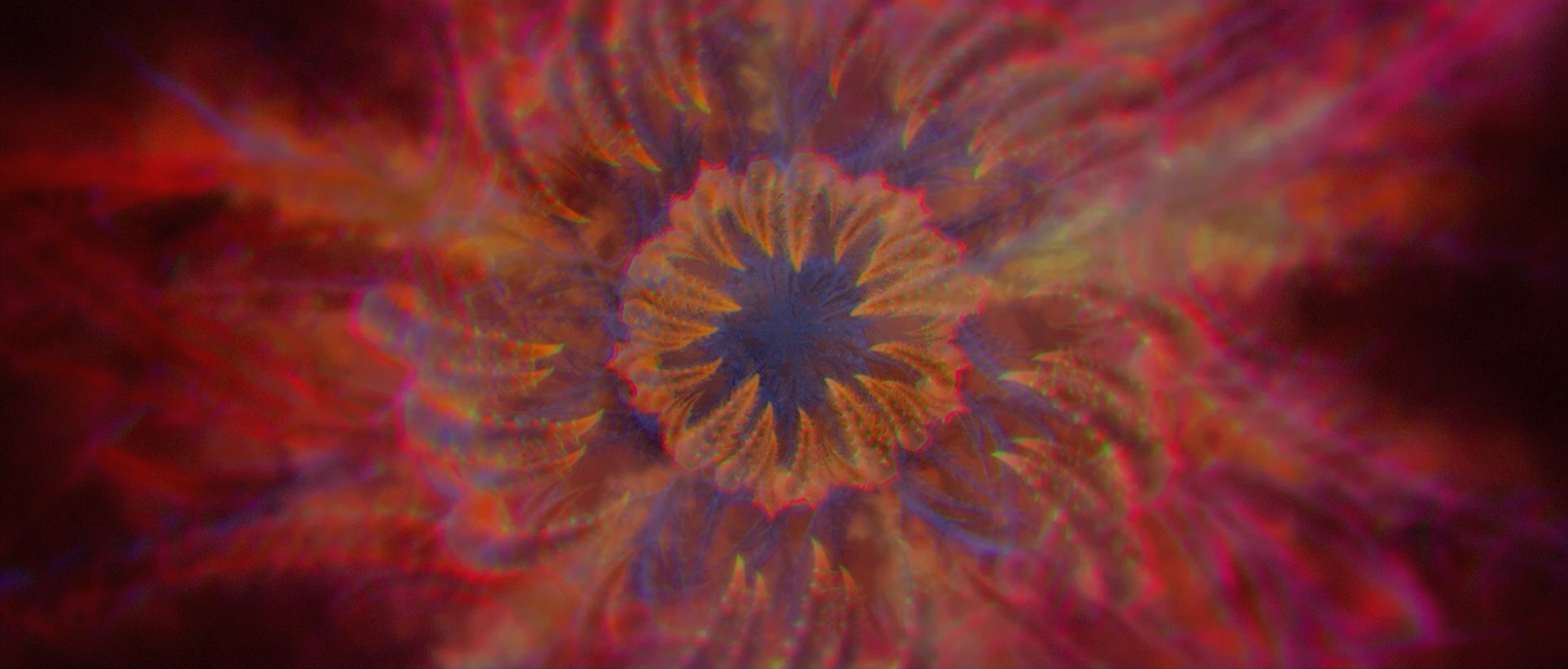 Subjective Cinema in Enter the Void (2009)