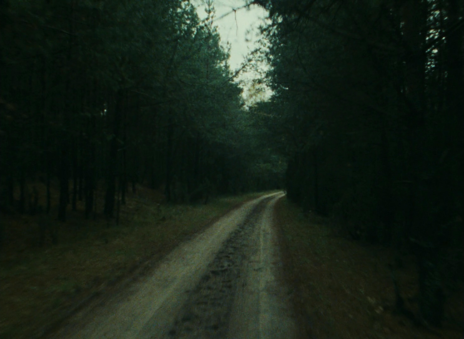 Documentary Filmmaking in Shoah (1985)