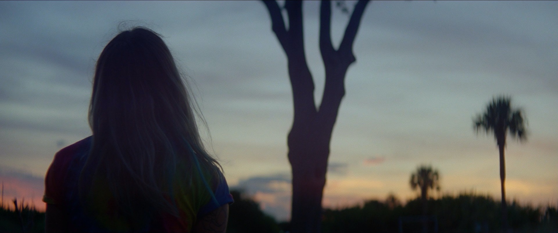 Natural Light in The Florida Project (2017)