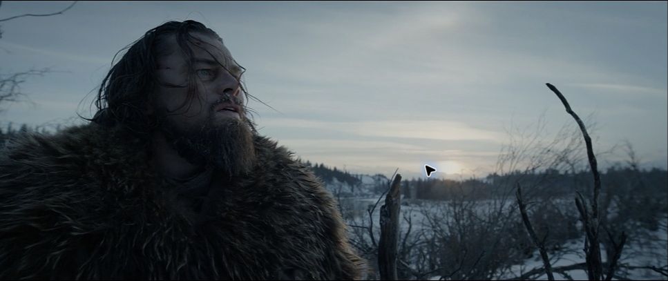 Dynamic Range in The Revenant (2015)