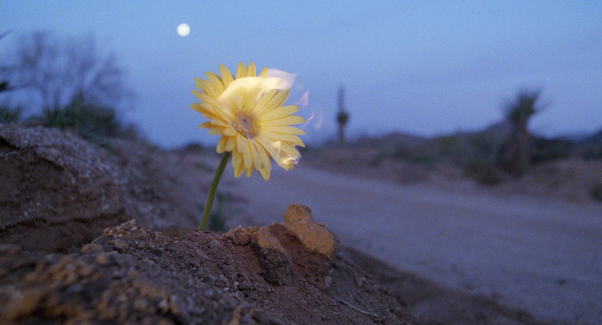 Complementary Colors in Raising Arizona (1987)