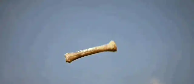 Match Cut in 2001: A Space Odyssey