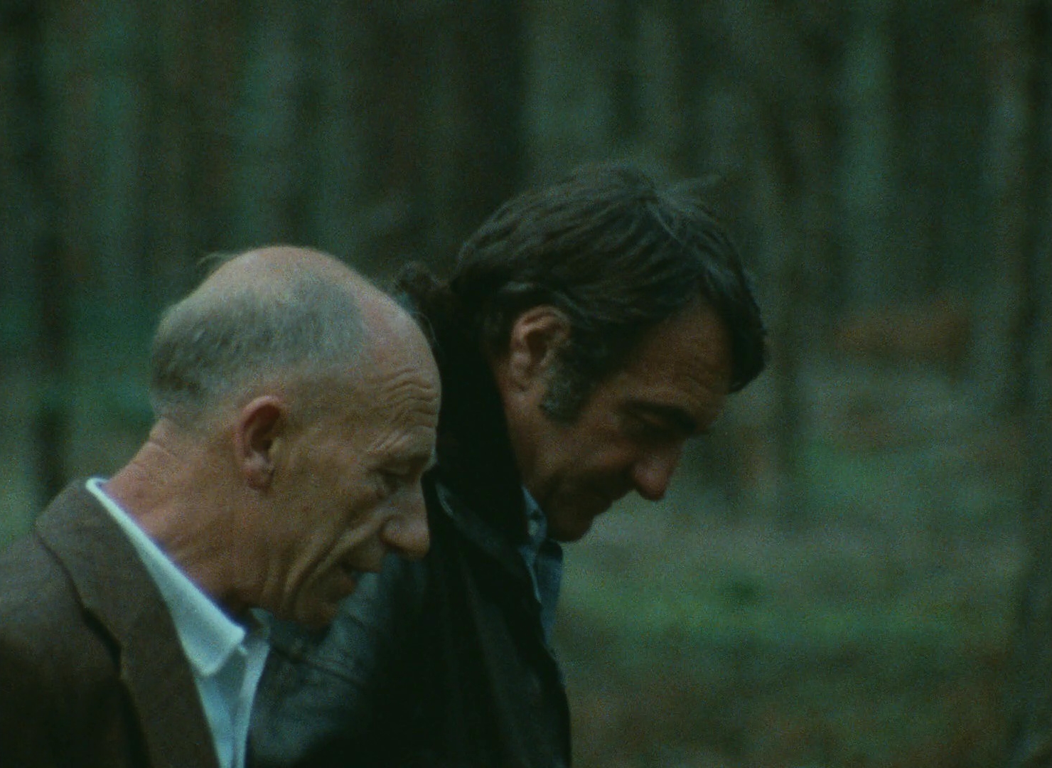 Documentary Filmmaking in Shoah (1985)