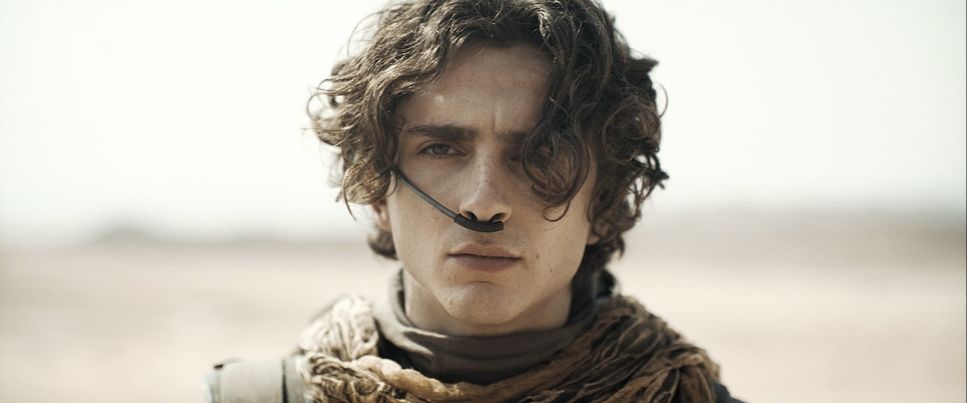 Protagonist in Dune: Part Two (2024)
