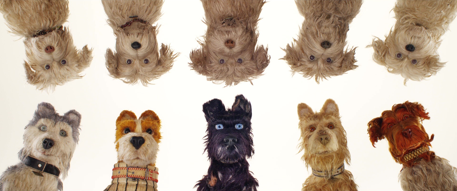 Symmetrical Composition in Isle of Dogs (2018)