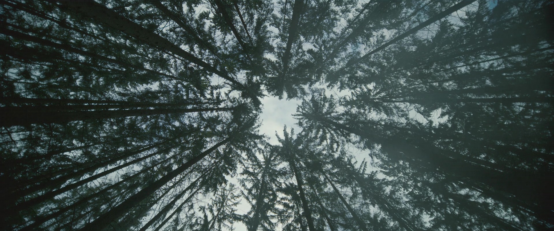 Symmetrical Composition in All Quiet on the Western Front (2022)