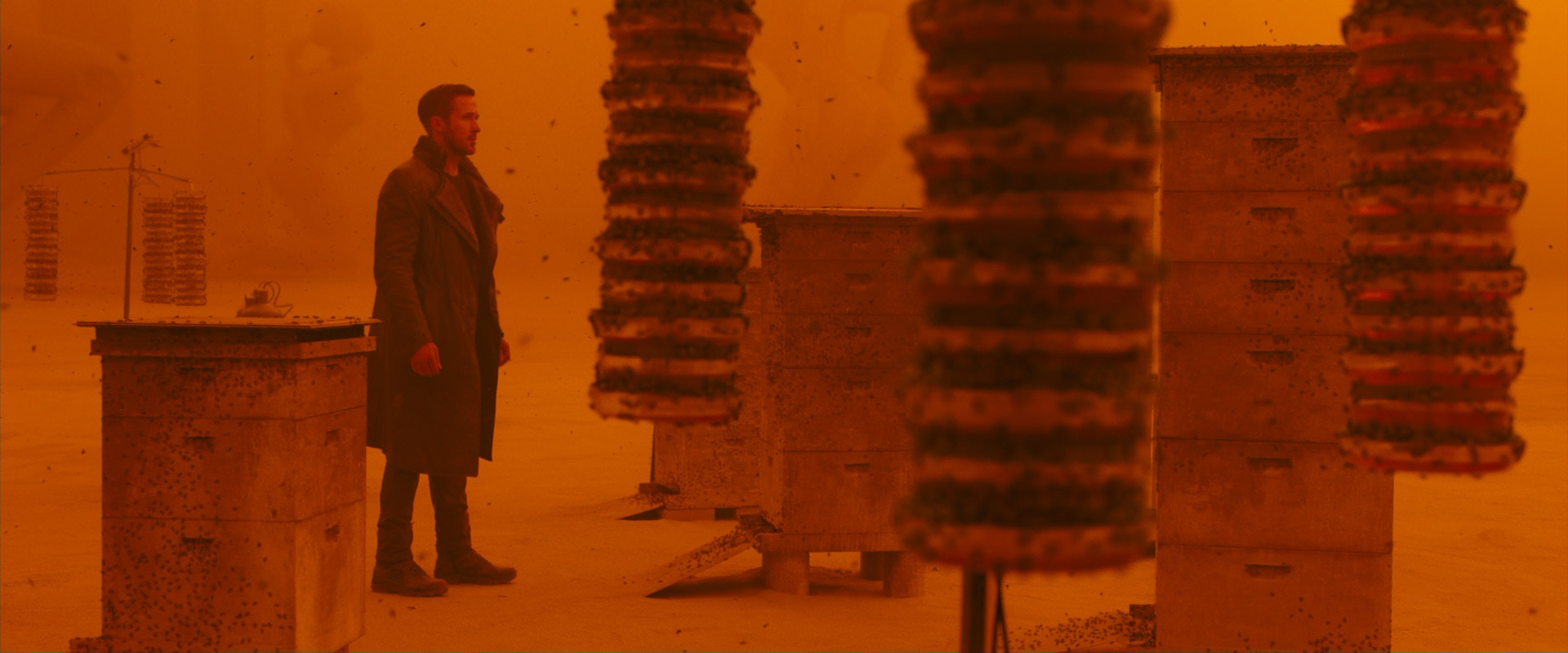 Long Shot (Wide Shot) in Blade Runner 2049 (2017)