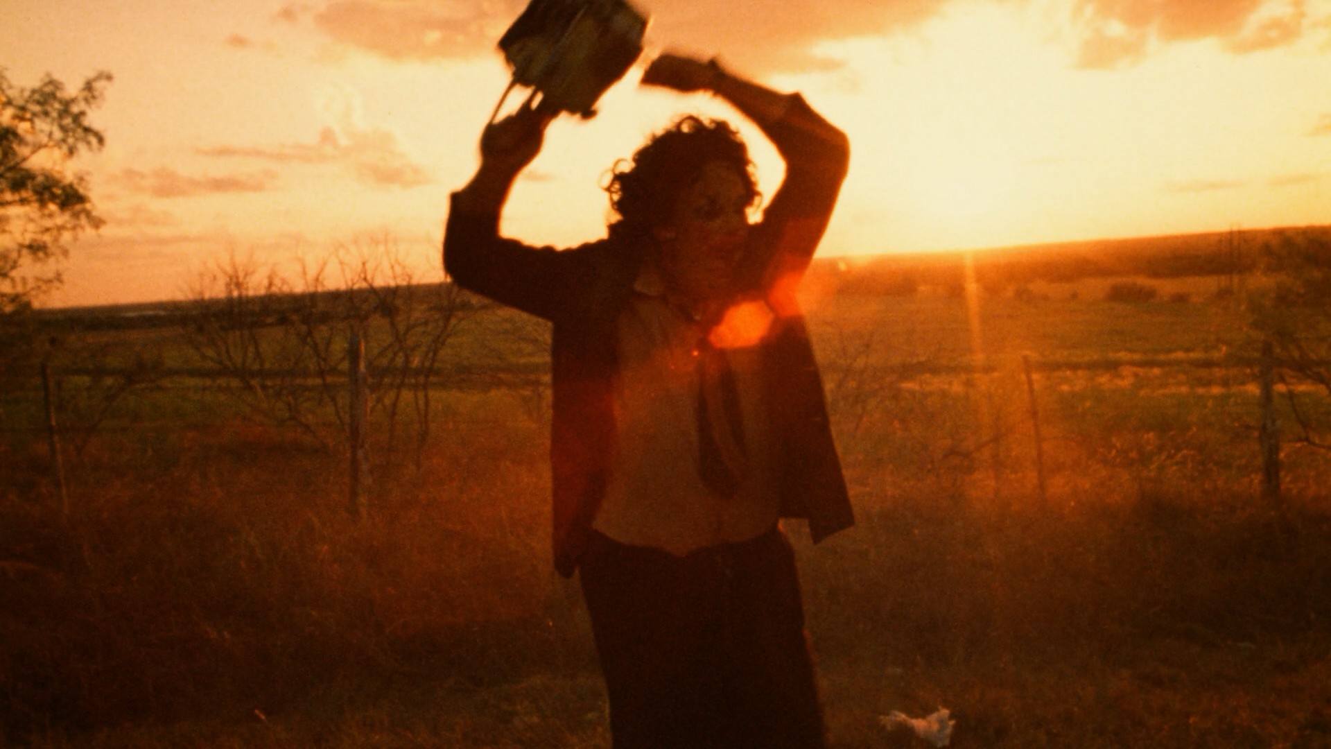 Slasher Film in The Texas Chain Saw Massacre (1974)