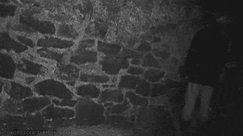 VHS Effect in The Blair Witch Project
