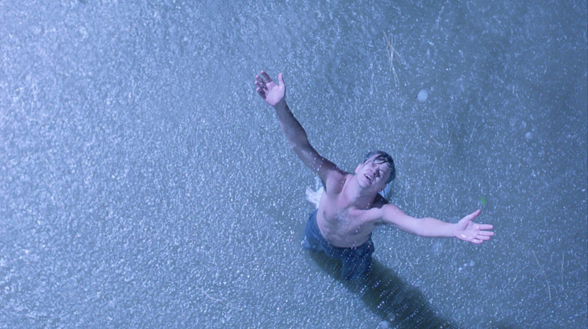 Falling Action in The Shawshank Redemption (1994)