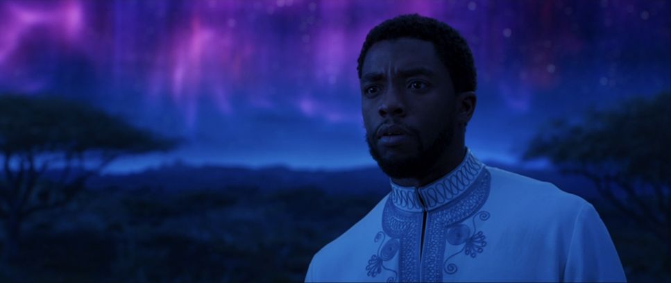 Character Arc in Black Panther (2018)