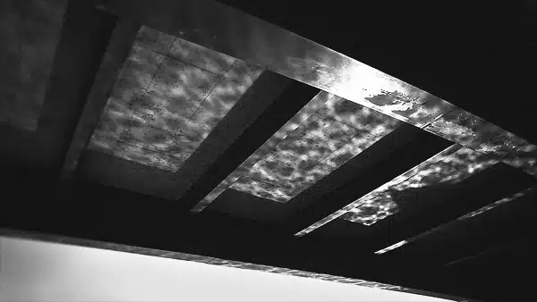 Cinemagraph in Cinemagraph