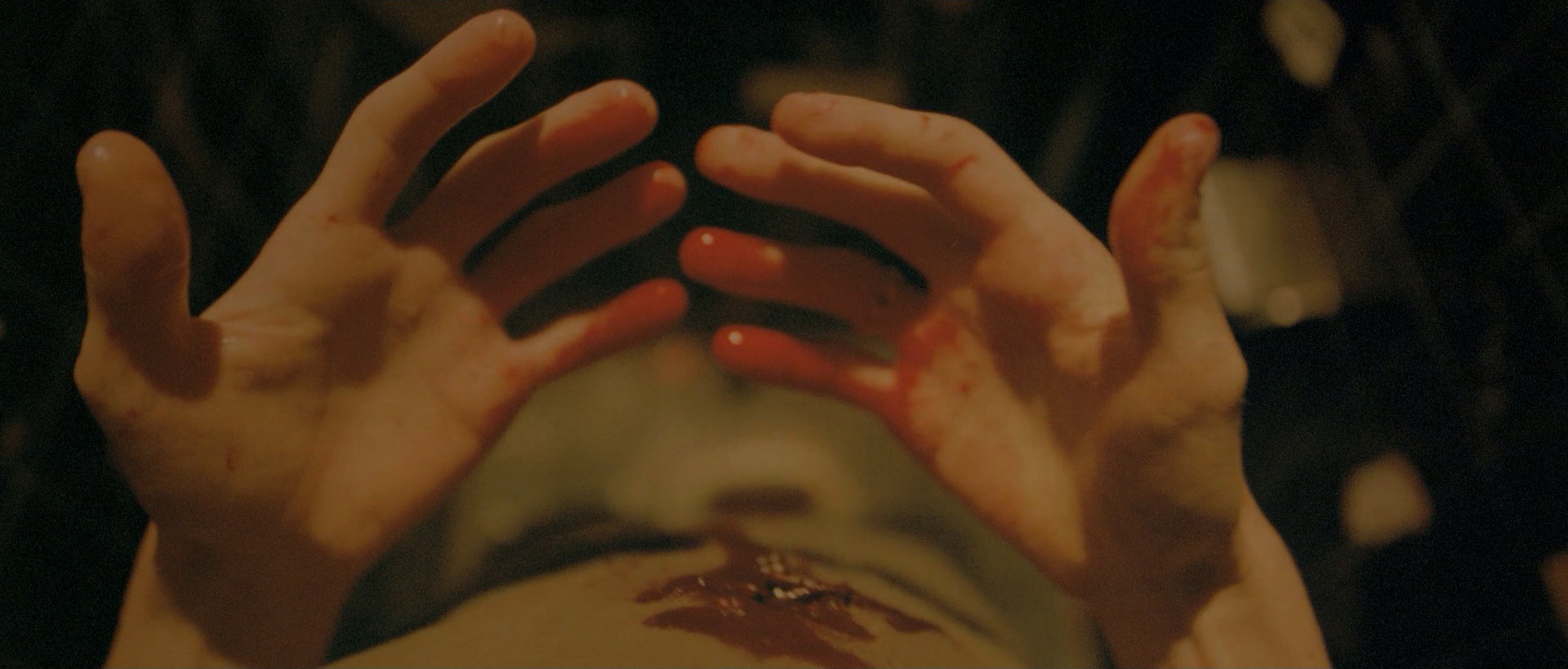 Subjective Cinema in Enter the Void (2009)