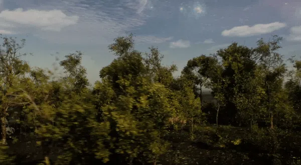 Time Lapse in Noah