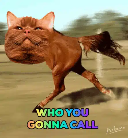 Weirdcore in Best Wishes Love GIF