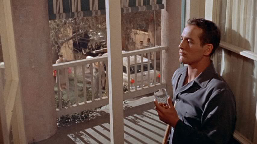 Subtext in Cat on a Hot Tin Roof (Subtext)