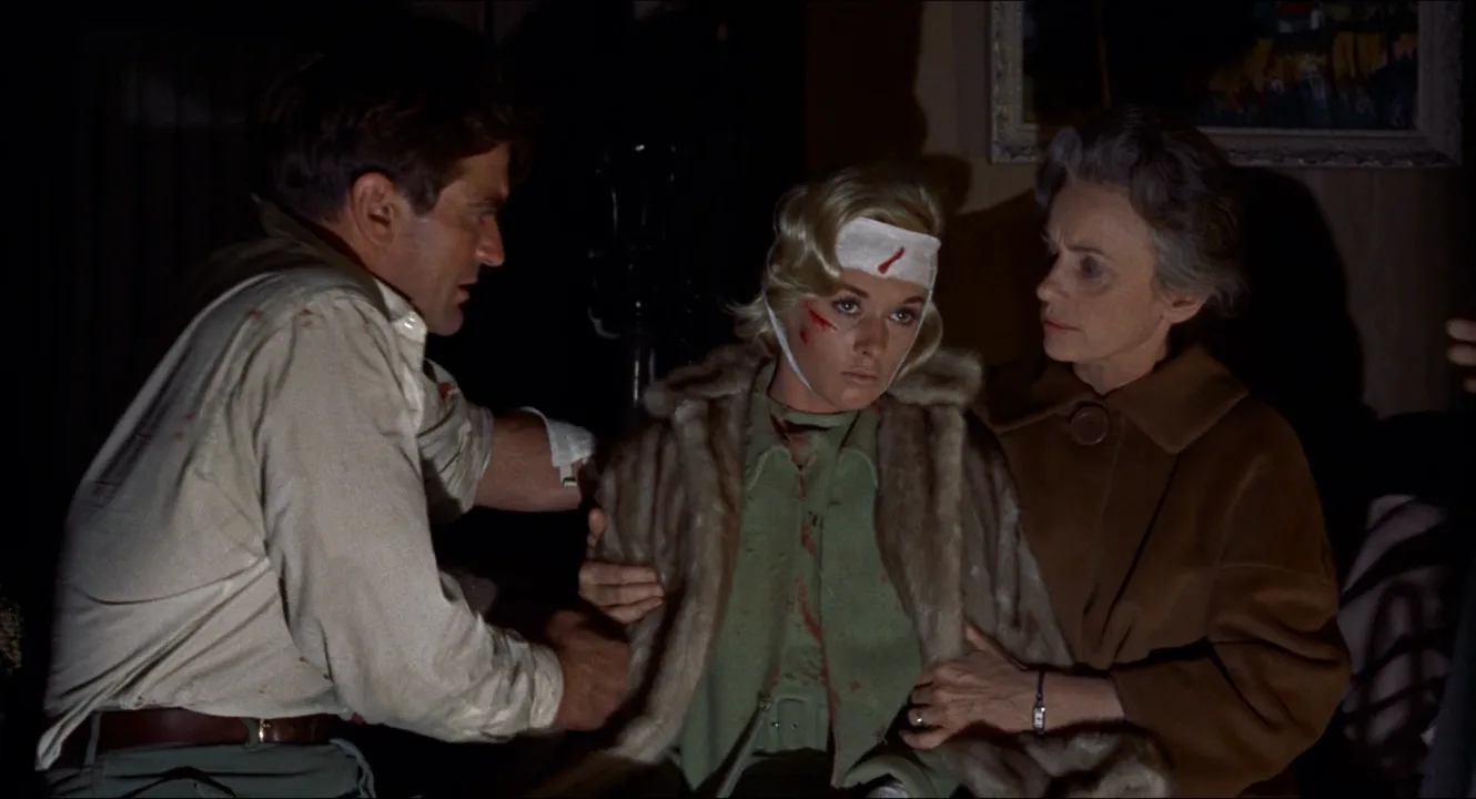 Three Shot in The Birds (1963)
