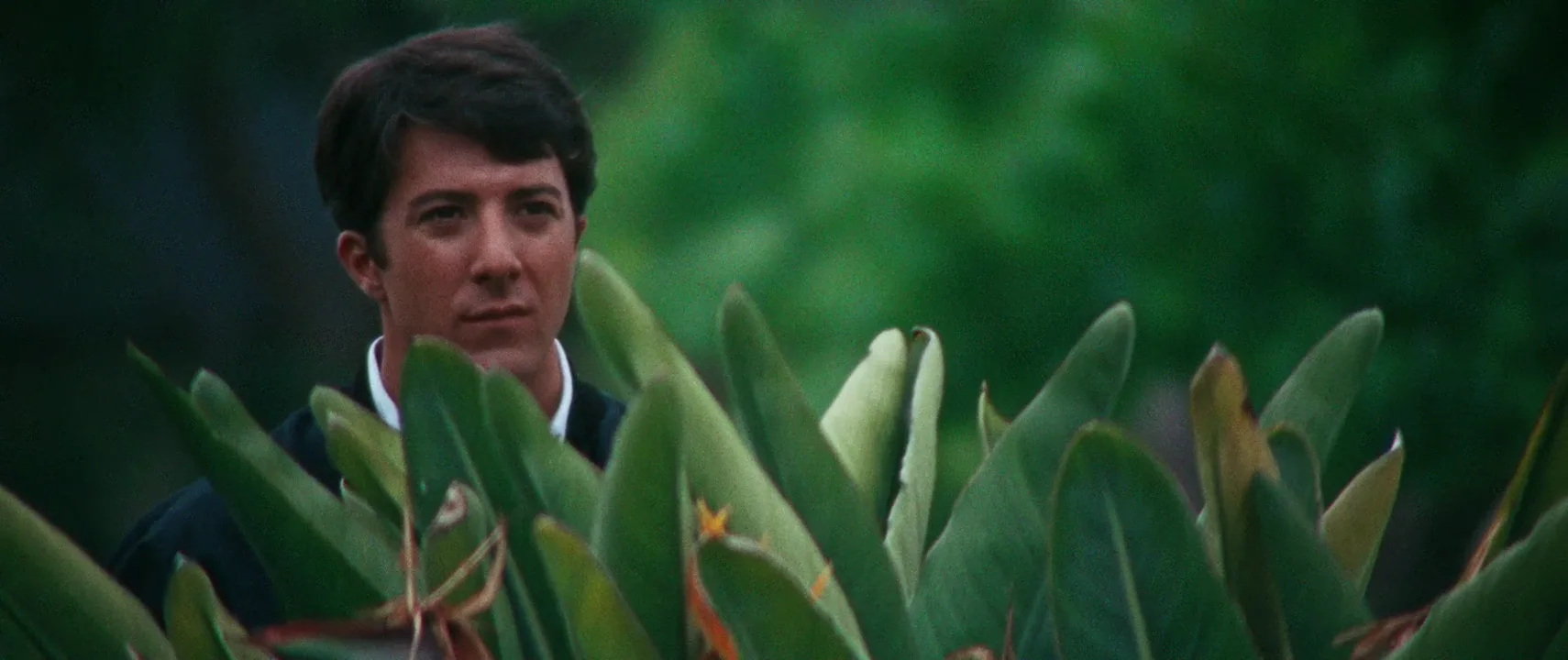 Telephoto Lens in The Graduate (1967)