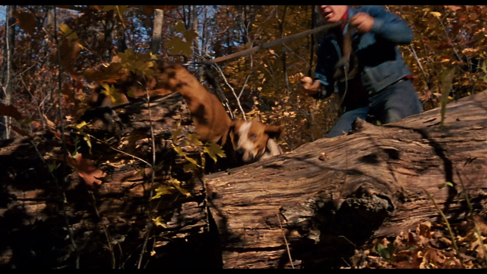Focal Length in In the Heat of the Night (1967)