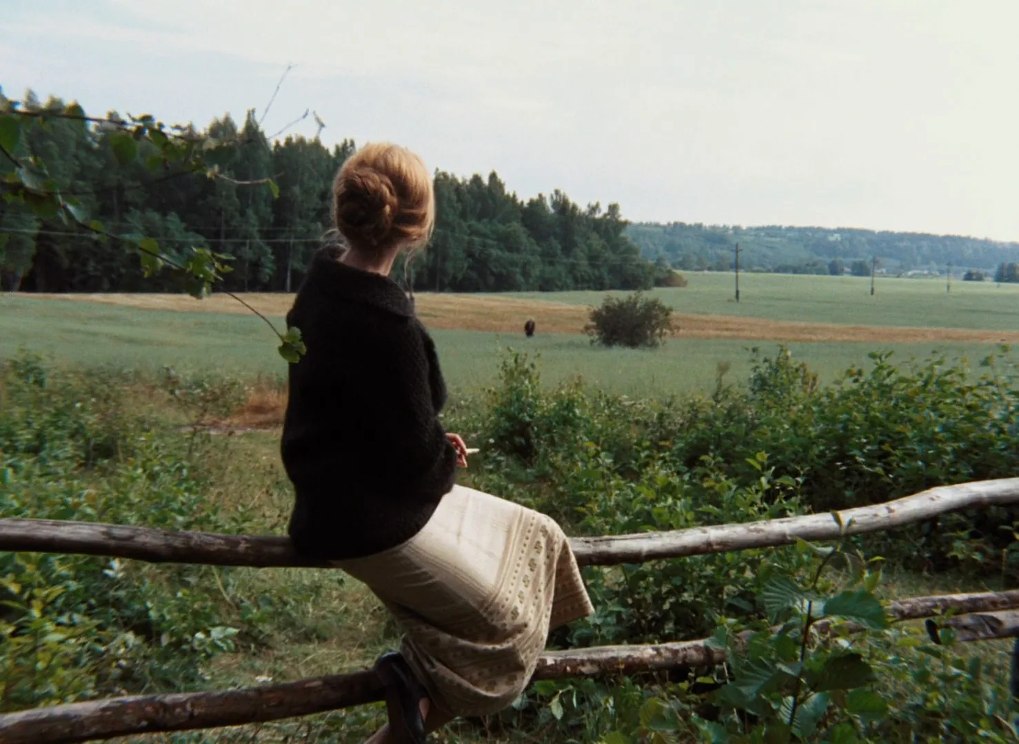 Foreground, Midground, Background: Depth Layering in Mirror (1975)