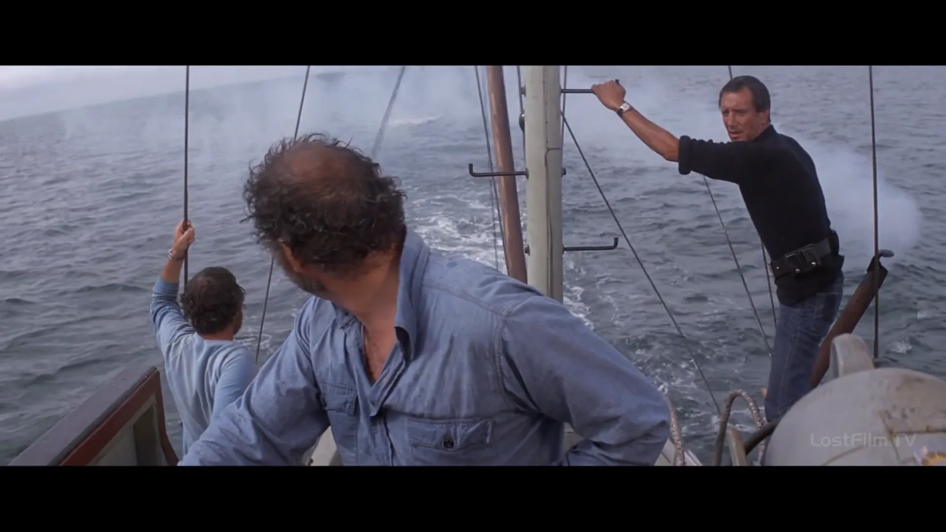 Coverage in Jaws (1975)
