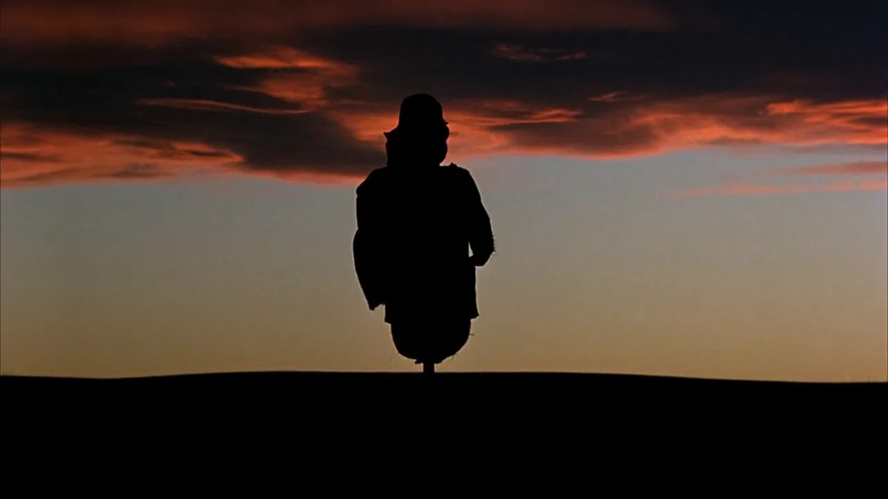 Silhouette in Days of Heaven (1978)