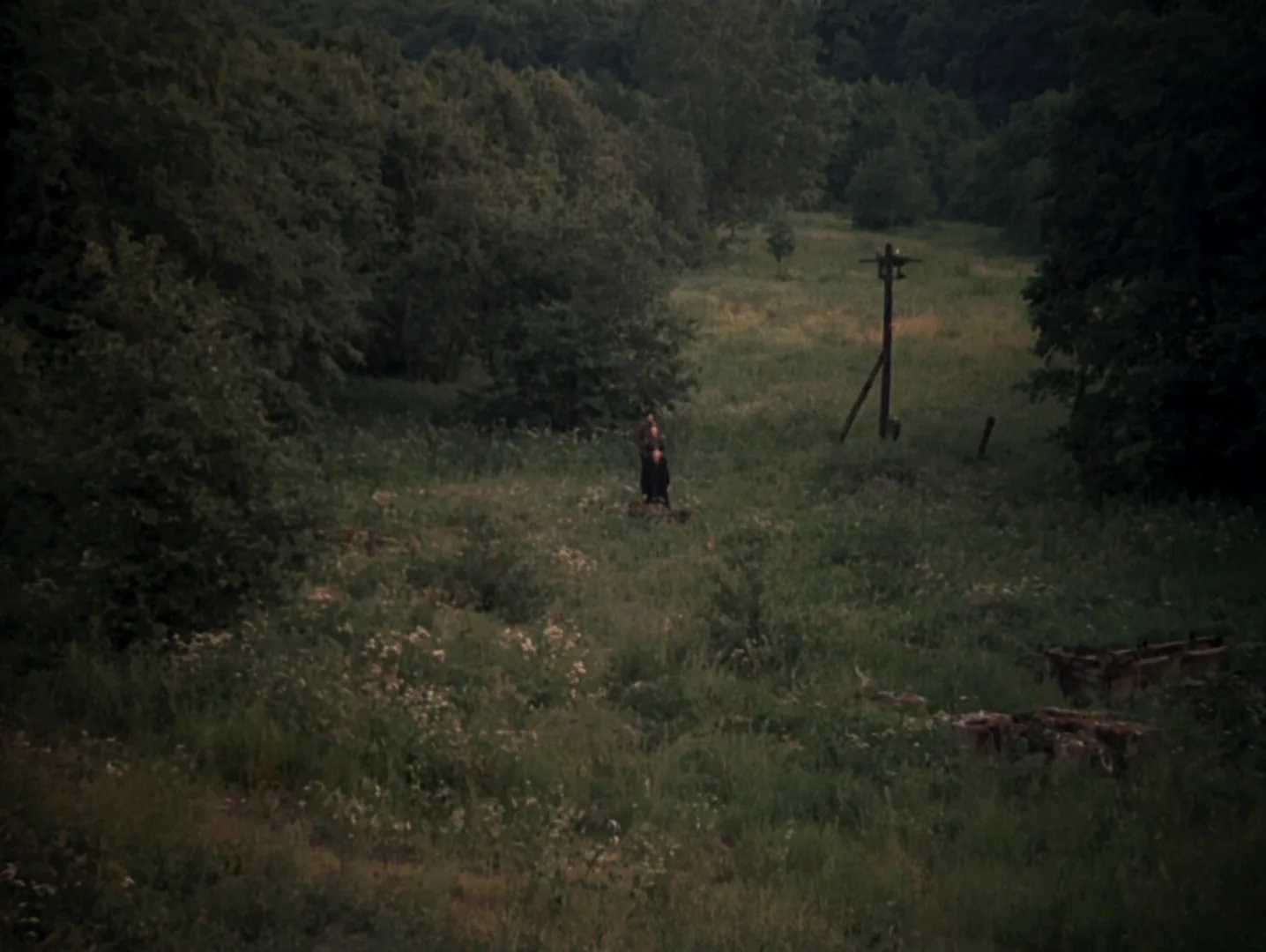 Avant-Garde Film in Stalker (1979)