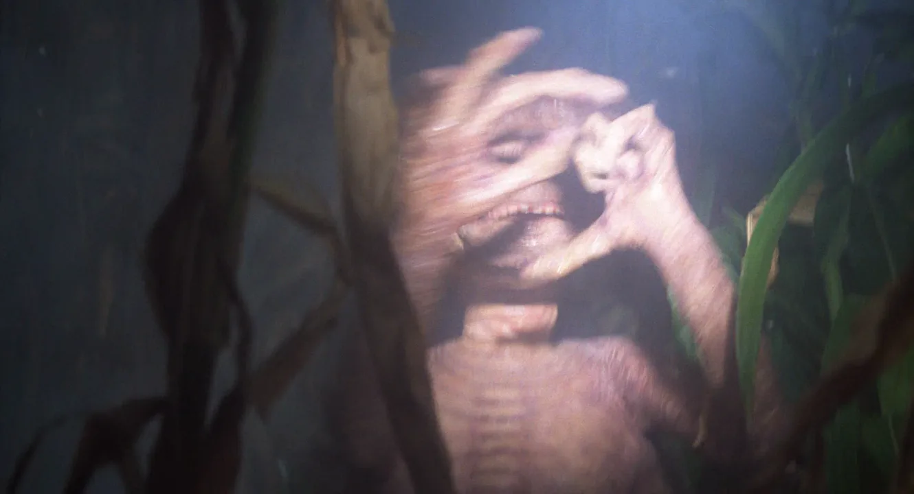 Auteur Theory in E.T. the Extra-Terrestrial (1982)