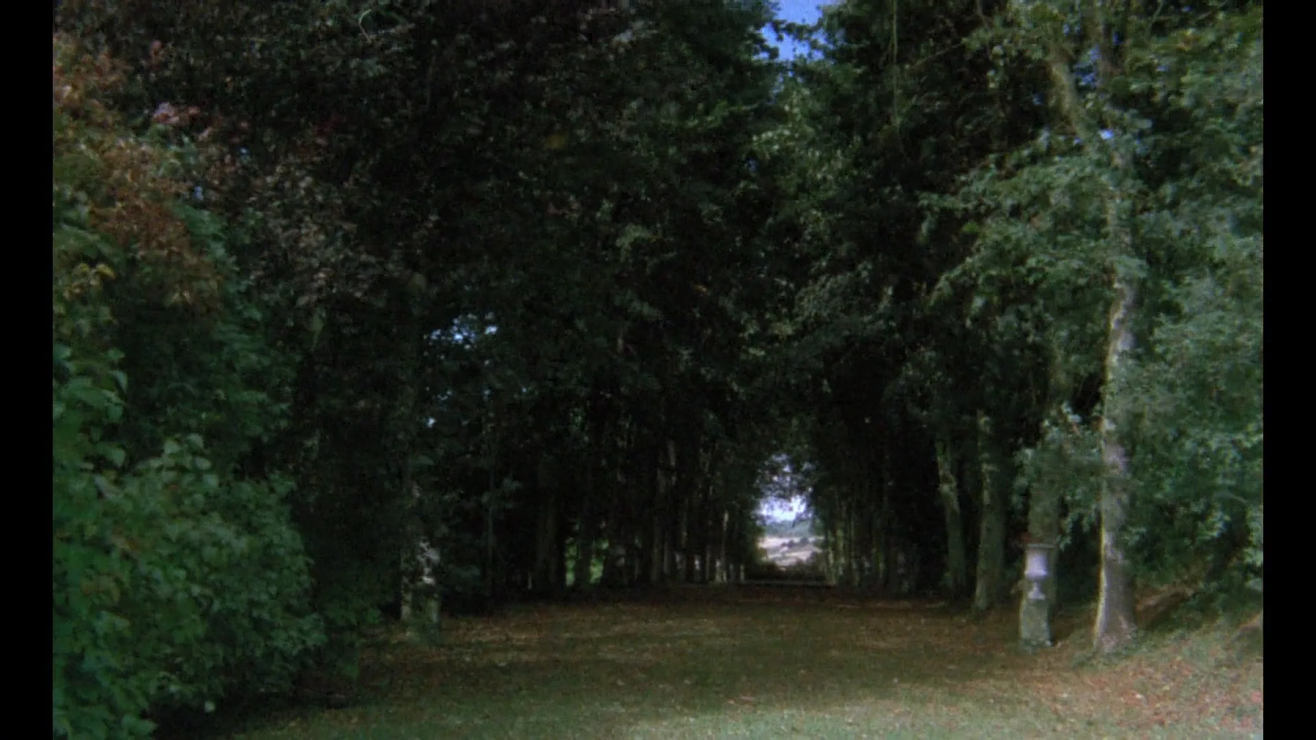 Documentary Filmmaking in Sans Soleil (1983)