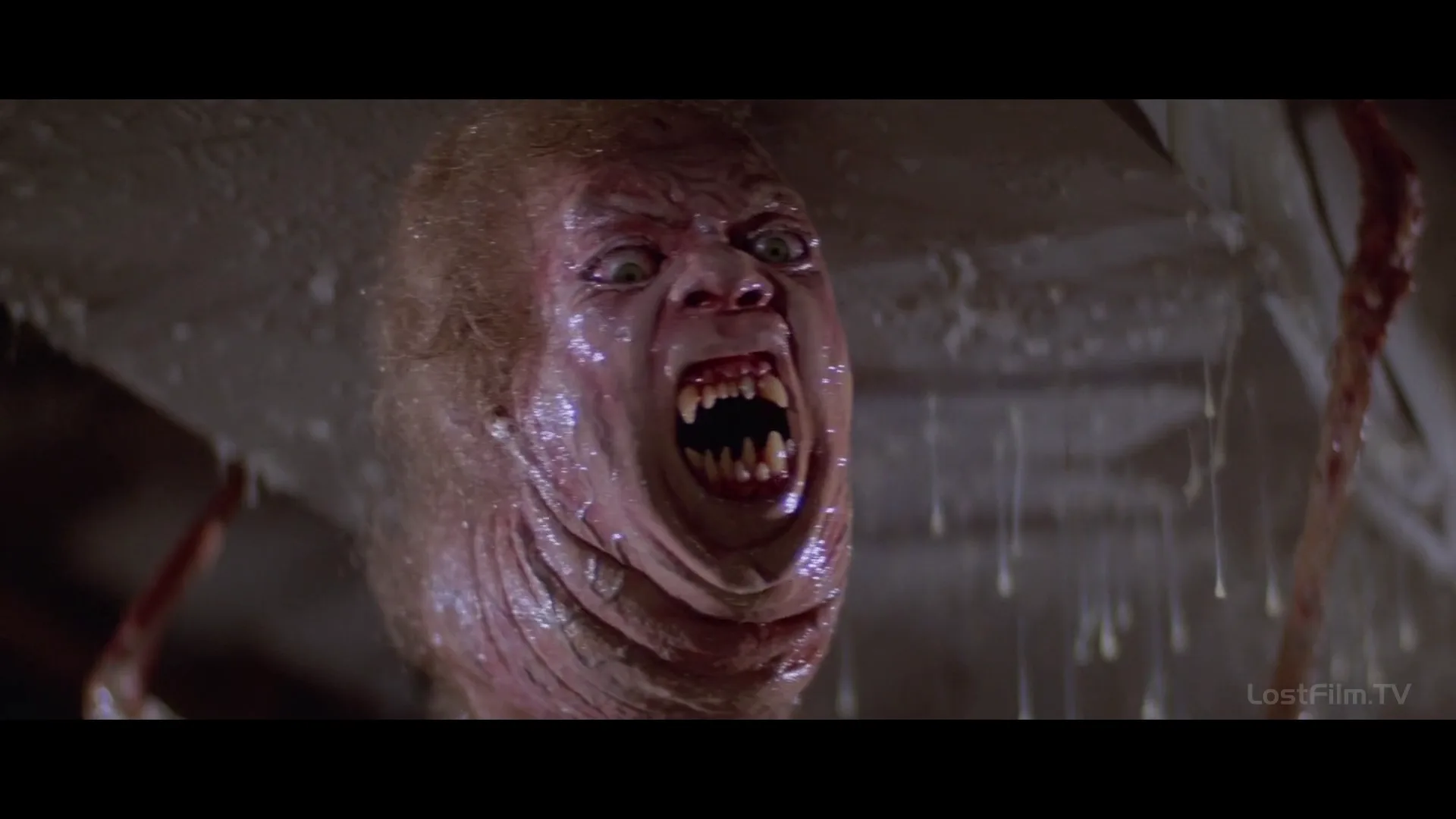 Practical Effects in The Thing (1982)