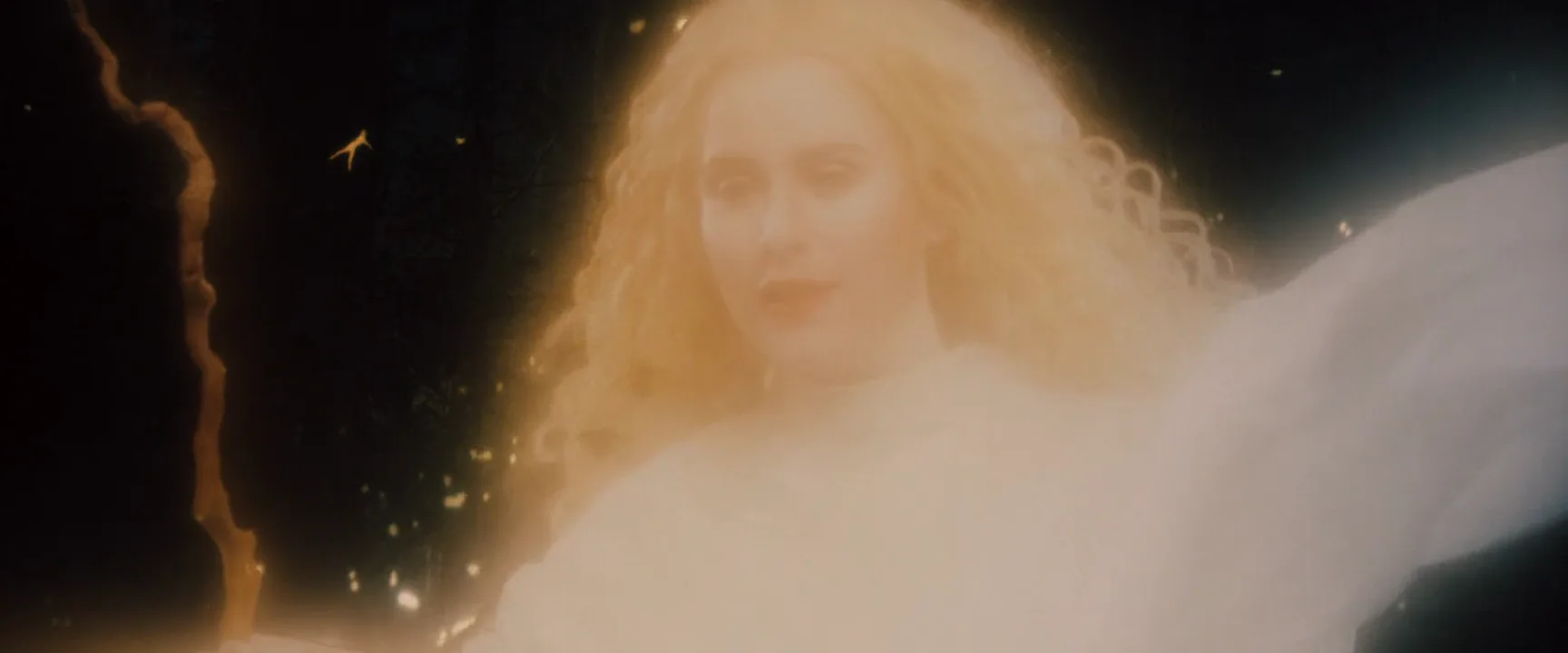 Soft Focus in Willow (1988)