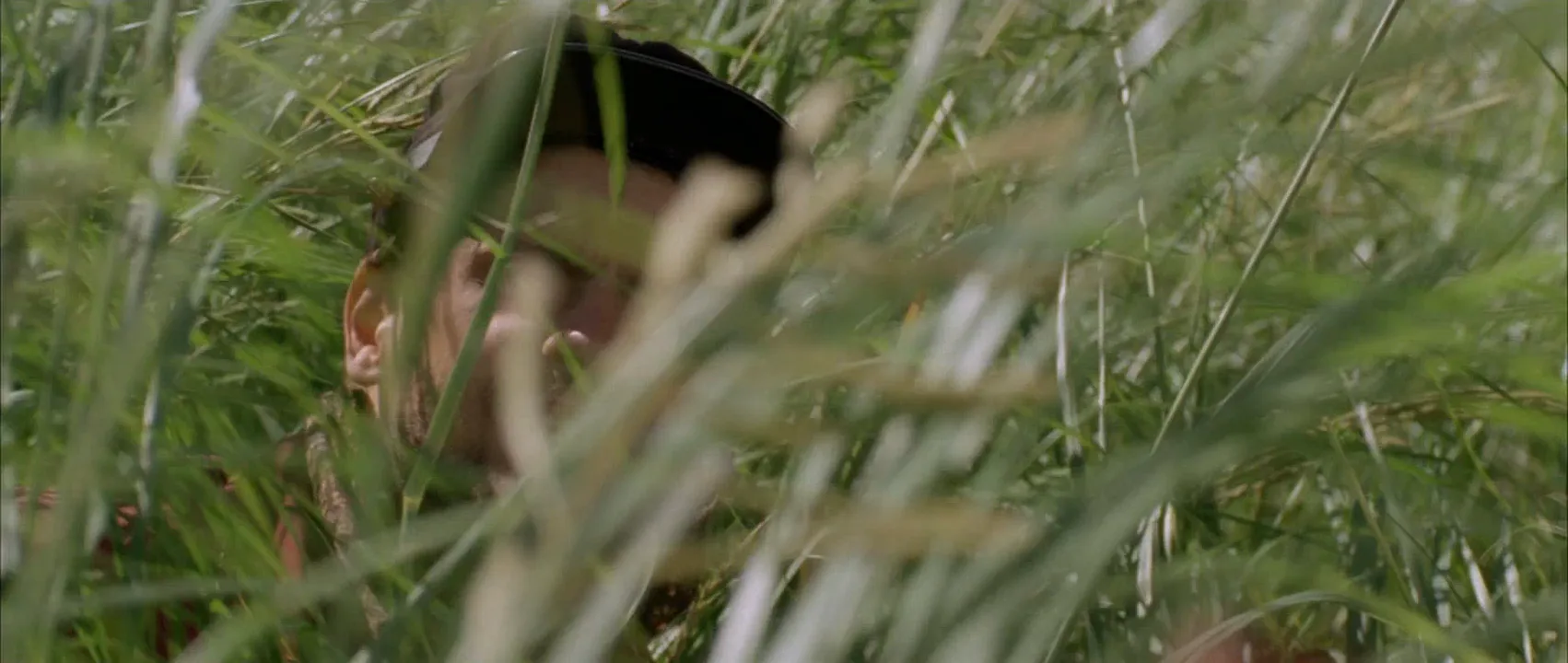 Voyeur Shot in Dances with Wolves (1990)