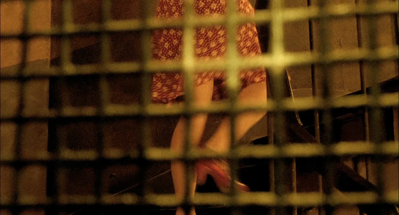 Selective Color in Delicatessen (1991)