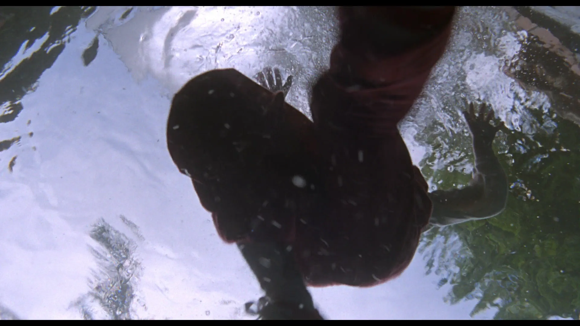 Underwater Shot in Beethoven (1992)