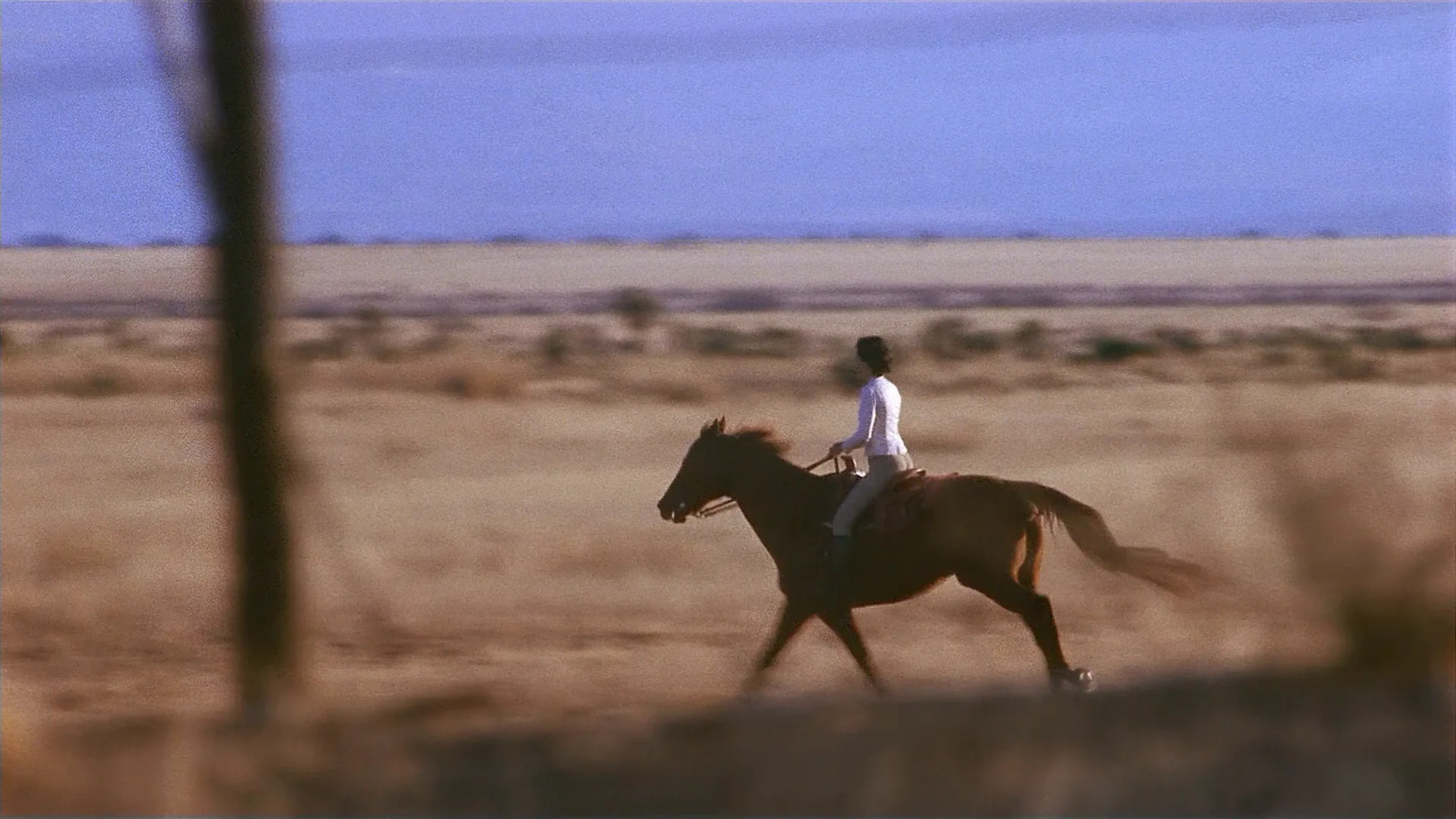 Focal Length in Red Rock West (1993)
