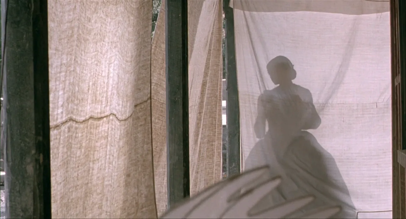 Live Action in The Piano (1993)