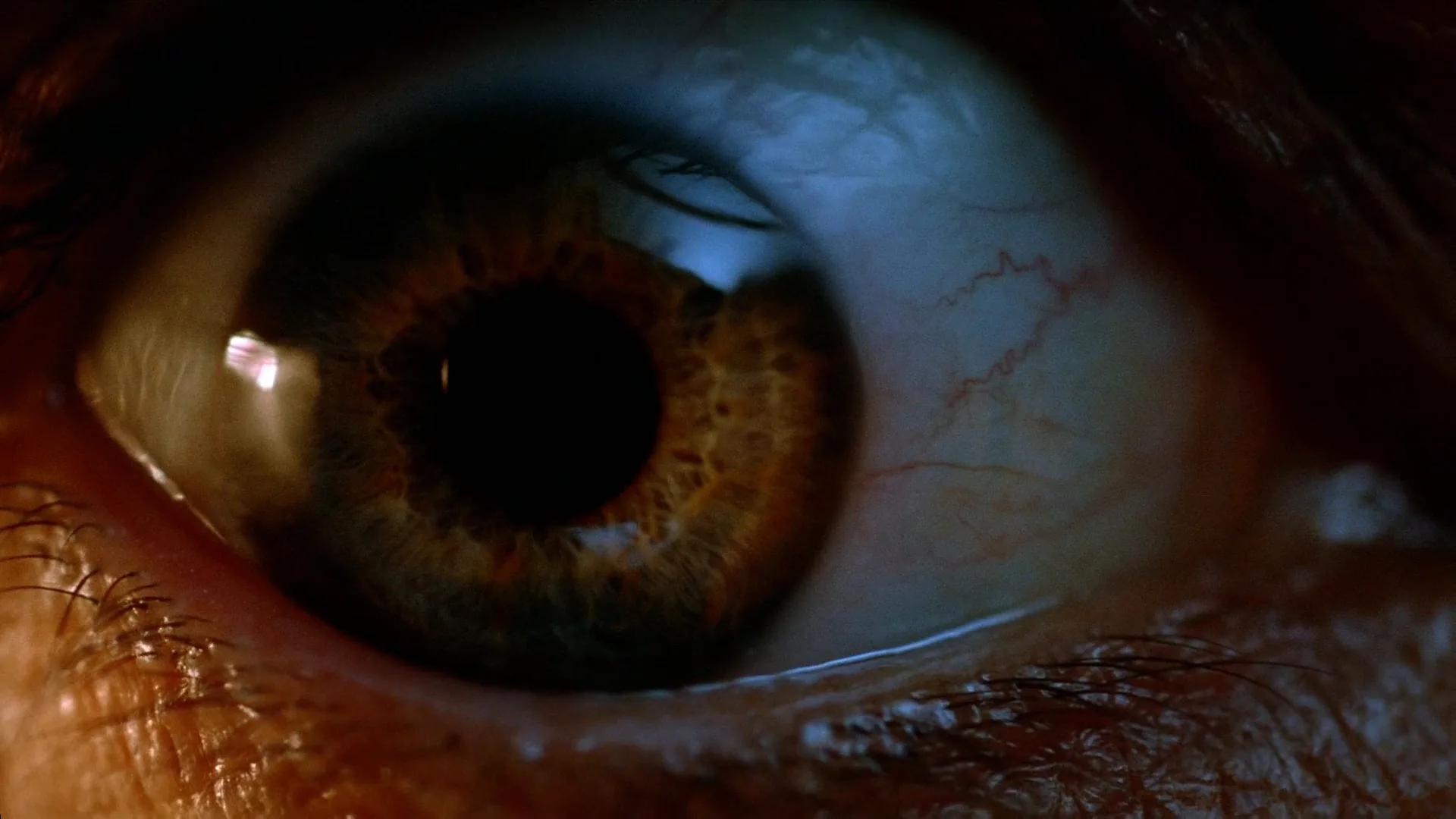 Extreme Close-Up in Apollo 13 (1995)