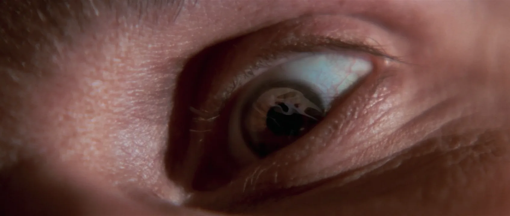 Extreme Close-Up in Scream (1996)