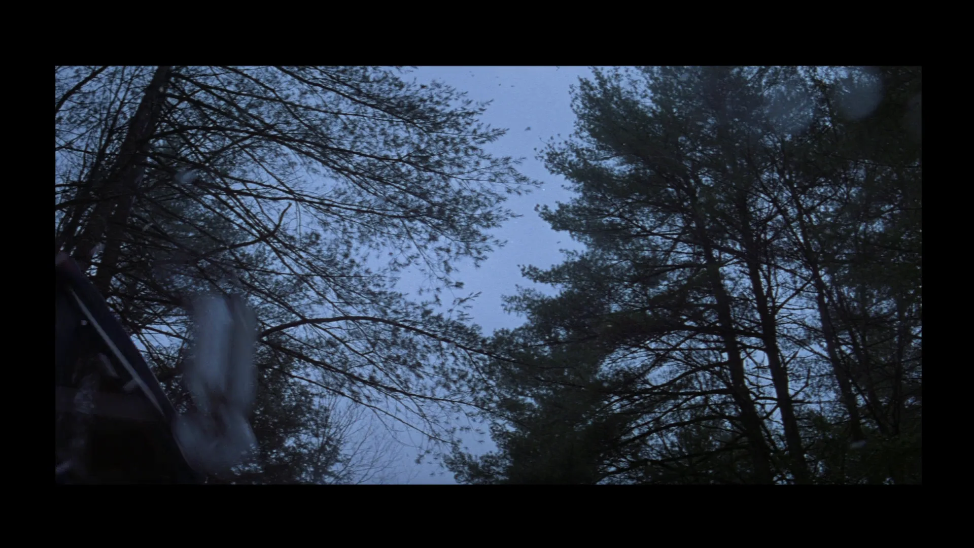 Cool Color Palette in The Horse Whisperer (1998)