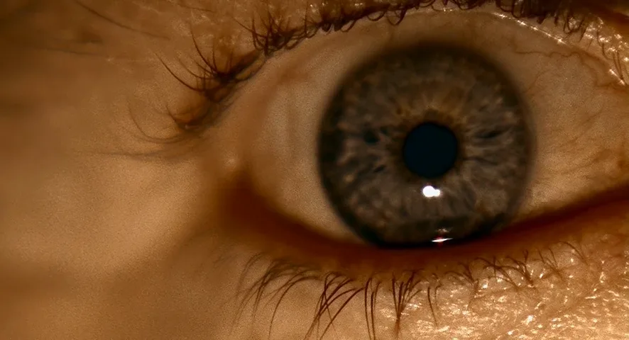 Macro Shot in Lock, Stock and Two Smoking Barrels (1998)