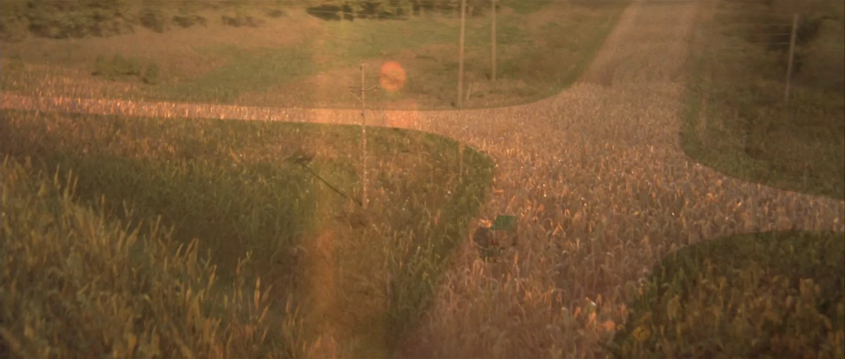 Natural Light in The Straight Story (1999)