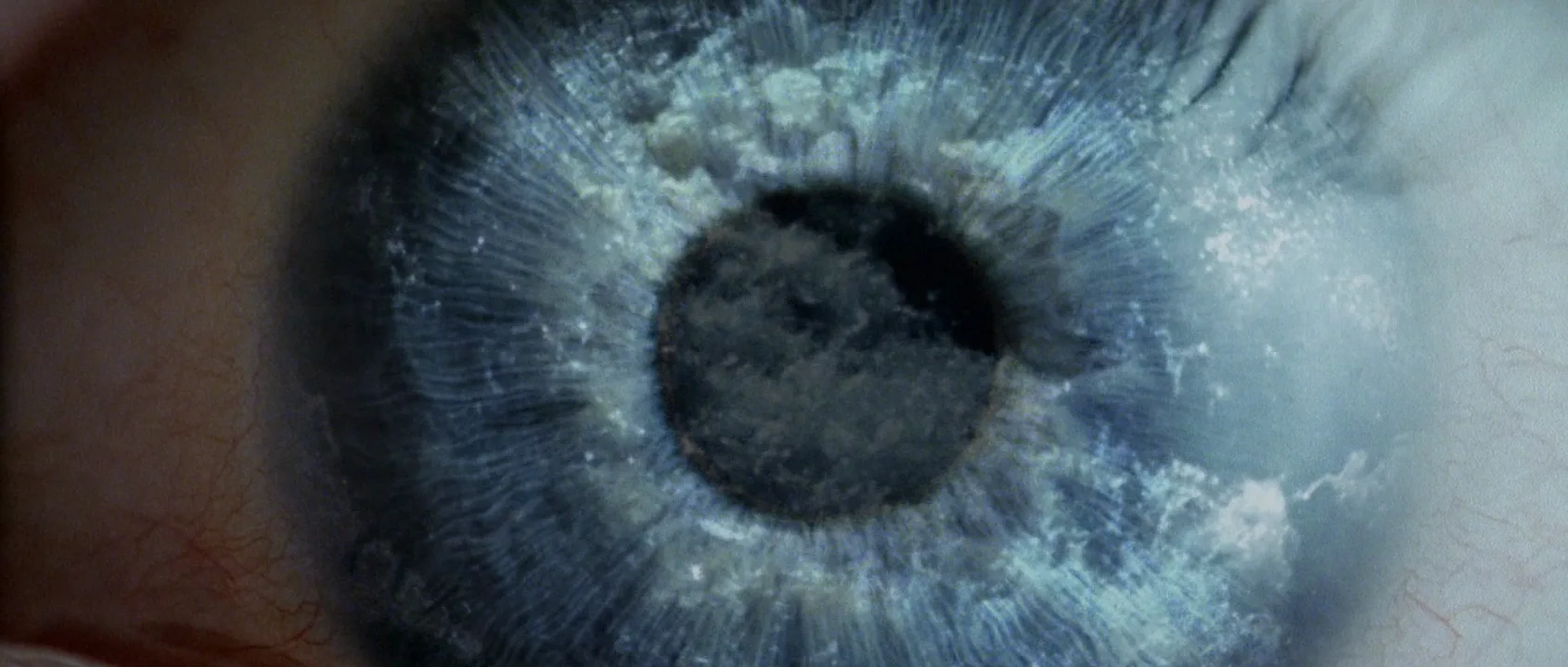 Extreme Close-Up in Donnie Darko (2001)
