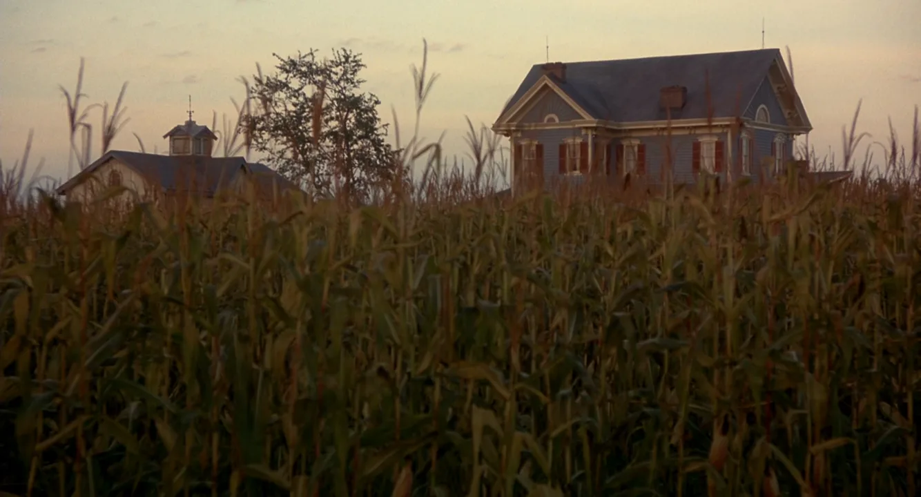 Golden Hour in Signs (2002)