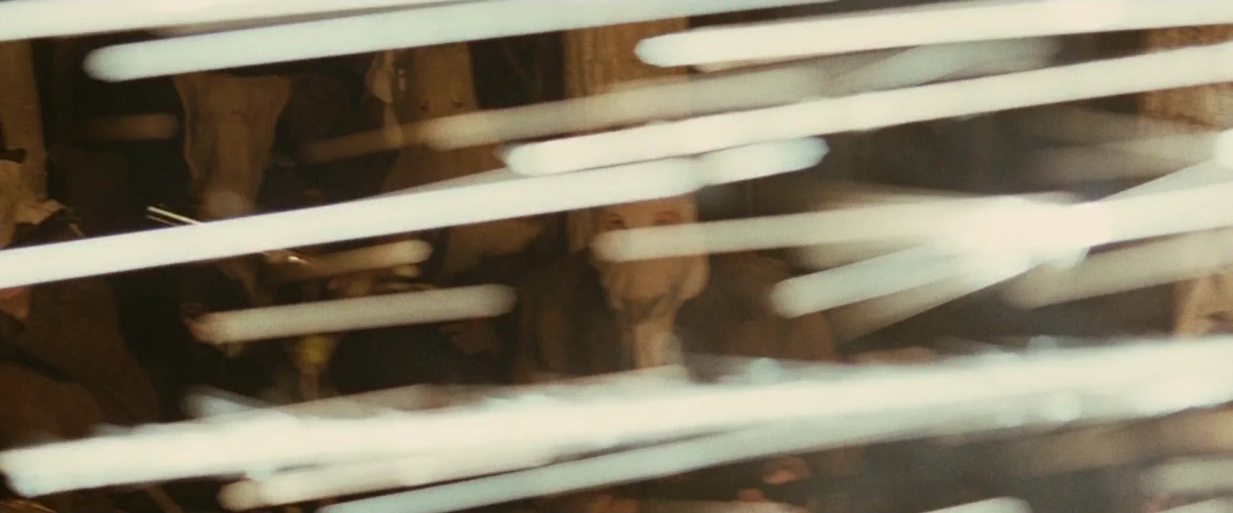 Long Exposure in The Assassination of Jesse James by the Coward Robert Ford (2007)