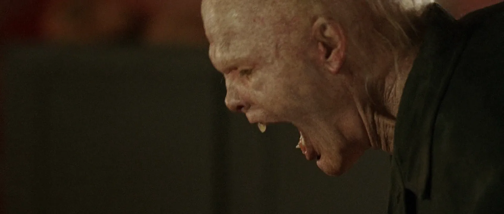 Werewolf Film in The Hills Have Eyes (2006)