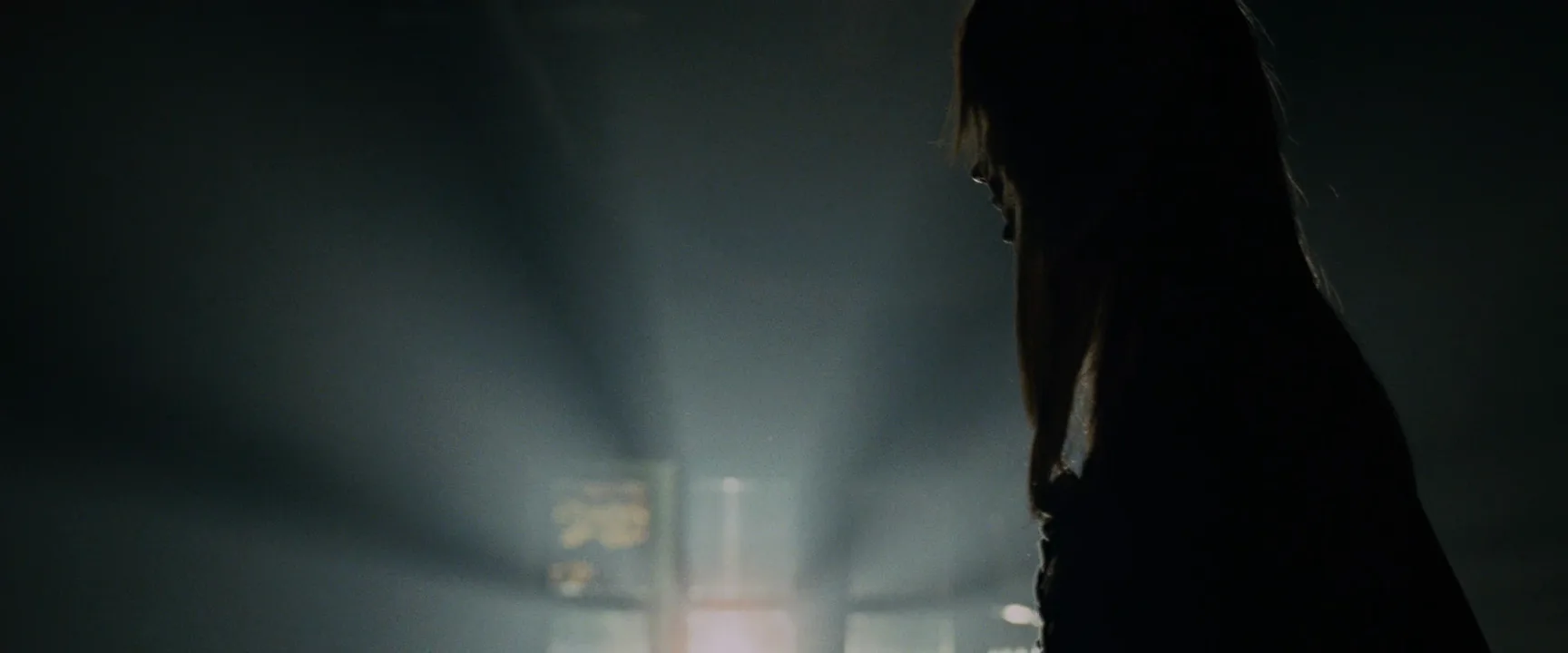 Horror Film in Aliens vs Predator: Requiem (2007)